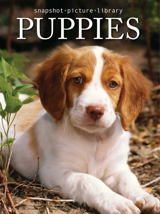 Title details for Puppies by Snapshot Picture Library - Available